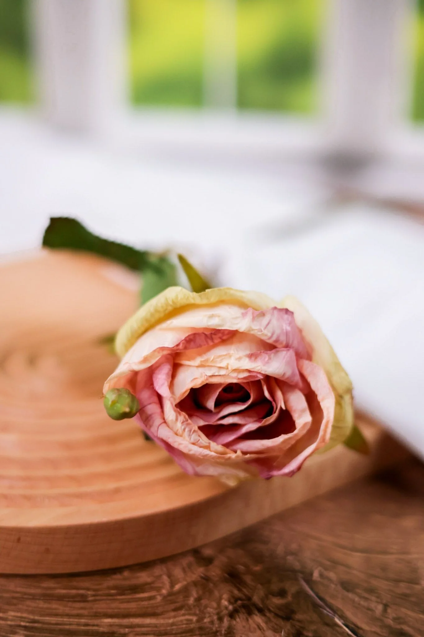 Antique Blush Rose Stem FINAL SALE - Image 4