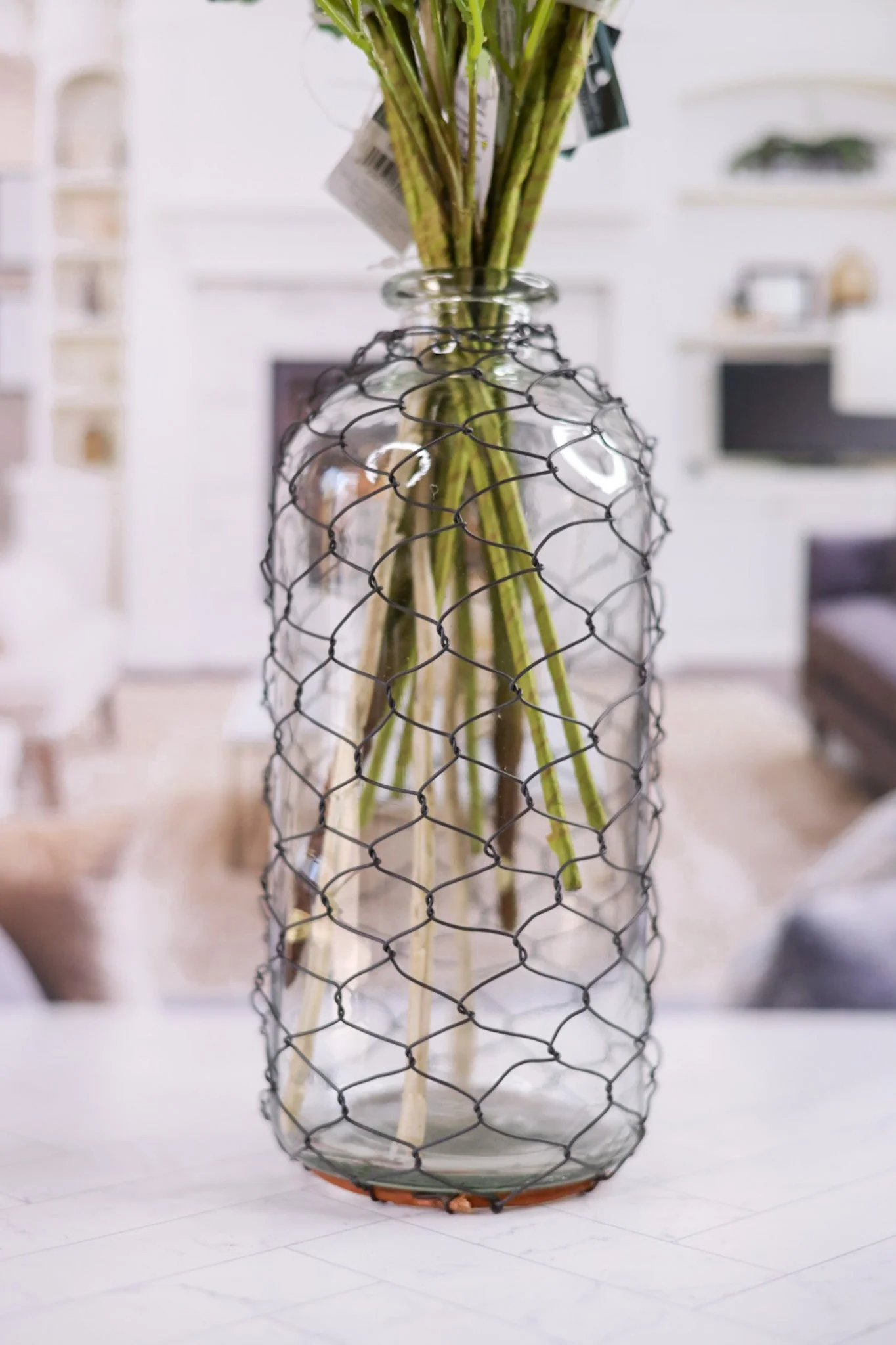 Bottle with Poultry Wire, 10" - Image 5