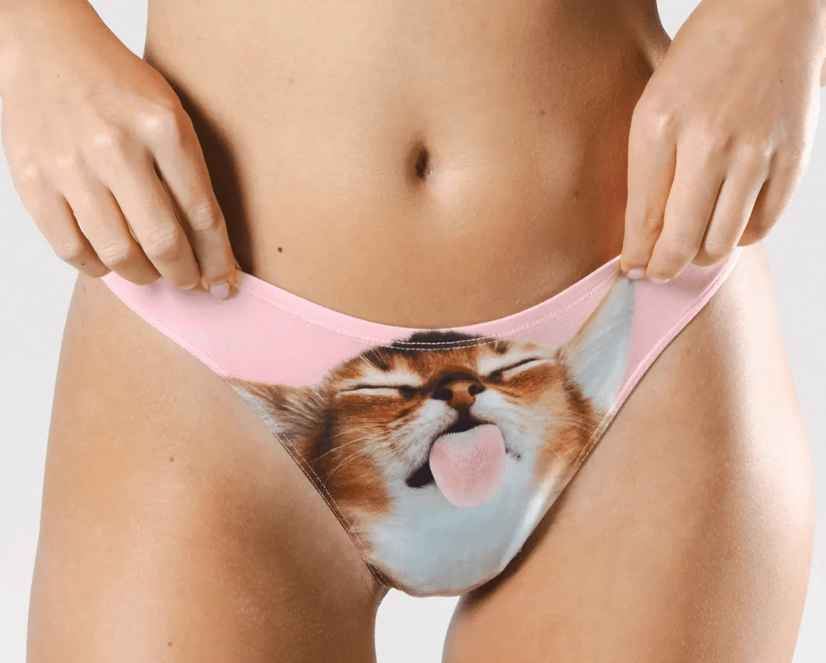 The Right Meow MicroModal Thong Underwear - Image 2